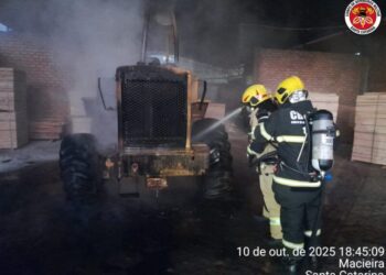 Incêndio atinge madeireira e danifica máquinas no Oeste de SC