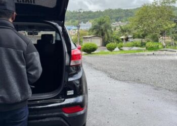 Polícia Civil de Capinzal prende foragido do Rio Grande do Sul acusado de estupro de vulnerável