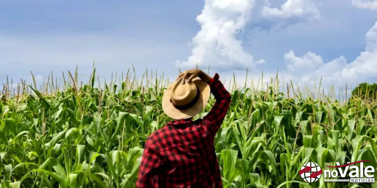 Incentivo agrícola para produtores de Zortéa já está disponível