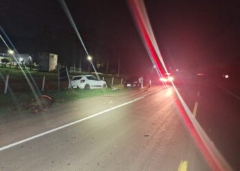 Motorista fica ferido ao atropelar cavalo na SC-350
