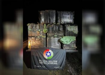 Mais de 270 kg de maconha são apreendidos na região (vídeo)