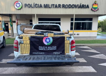 Polícia Militar Rodoviária apreende carga de cigarros contrabandeados avaliada em R$ 265 mil na SC-283