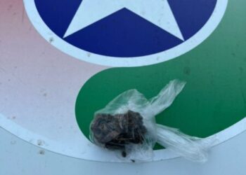 Polícia Militar apreende maconha e aplica multa por porte em Campos Novos