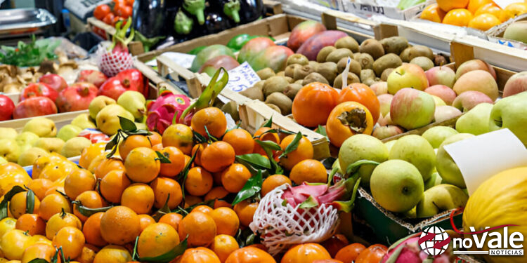 SC tem fundo exclusivo de segurança alimentar e lidera doações a serviços públicos, diz IBGE