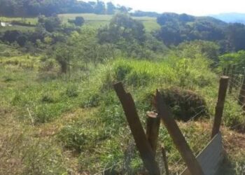 Justiça suspende vendas e obras em loteamento irregular no interior de Piratuba