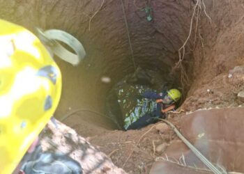 Bombeiros resgatam boi que caiu em poço de seis metros em Ipira