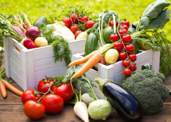 Capinzal abre Chamada Pública do PNAE 2026 para compra de alimentos da Agricultura Familiar