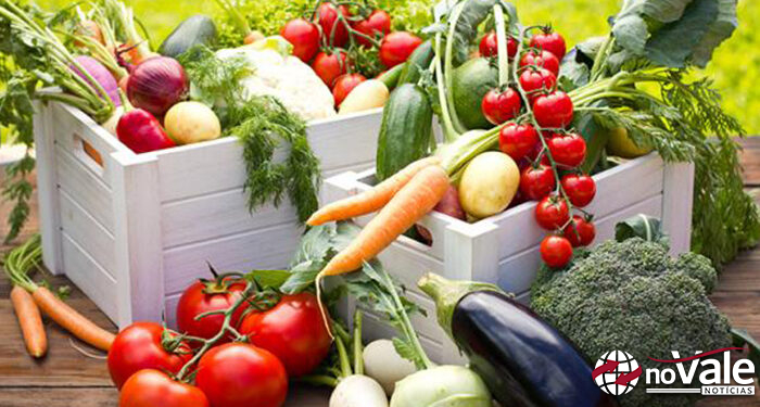 Capinzal abre Chamada Pública do PNAE 2026 para compra de alimentos da Agricultura Familiar