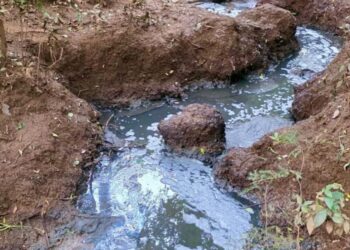 Ação da Polícia Militar Ambiental contra poluição hídrica na região meio-oeste de SC
