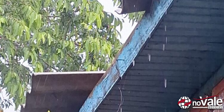 Temporal causa destelhamentos e quedas de árvores em Capinzal