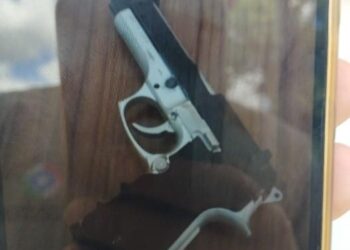 Polícia Militar registra duas ocorrências de violência doméstica em Campos Novos