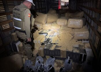 Motorista tenta camuflar carga ilegal de vinho, camarão e azeite de oliva com sacos de maravalha