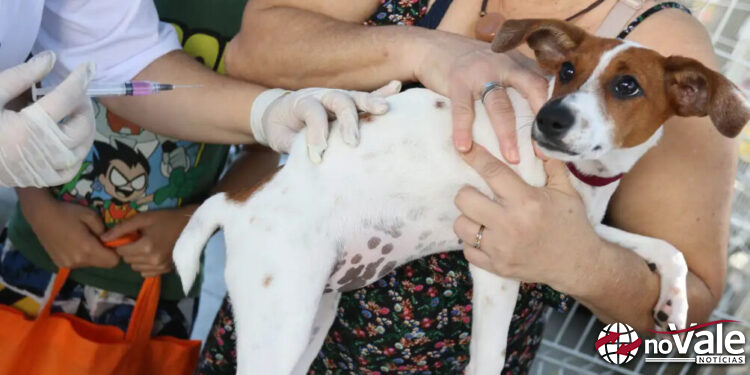Senado aprova Estatuto dos Cães e Gatos