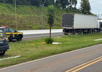 PRF flagra caminhoneiro sob efeito de anfetamina na BR-480