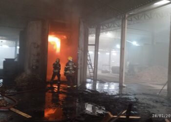 Incêndio em estufa mobiliza Corpo de Bombeiros em Santa Cecília
