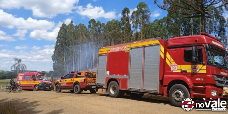 Incêndio em reflorestamento mobiliza bombeiros no interior de Vargem Bonita