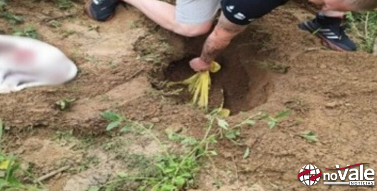 Justiça decreta prisão preventiva de suspeitos de matar cães com golpes de machado e pauladas em SC