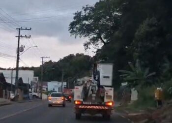 Curucaca presa em fio provoca queda de energia e deixa mais de 4,5 mil unidades sem luz em Capinzal