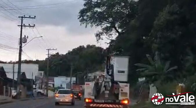 Curucaca presa em fio provoca queda de energia e deixa mais de 4,5 mil unidades sem luz em Capinzal