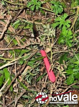 Discussão após notícia de morte termina com homem esfaqueado no peito em Xanxerê