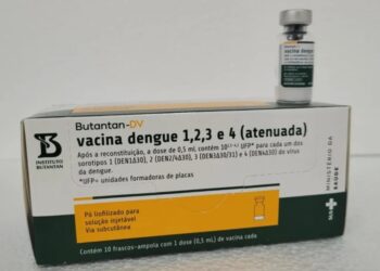 Santa Catarina inicia distribuição de 63 mil doses da vacina contra a dengue