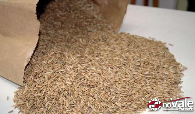 Piratuba: Pedidos para adesão ao Programa Pastagem de inverno encerram no dia 27 de março