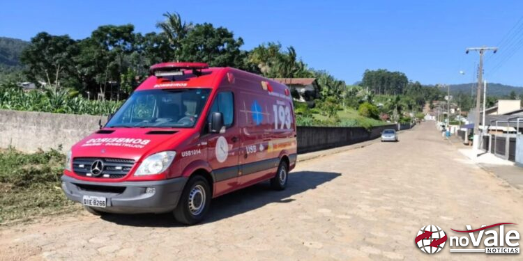 Ataque de abelhas mata idoso de 74 anos no quintal de casa