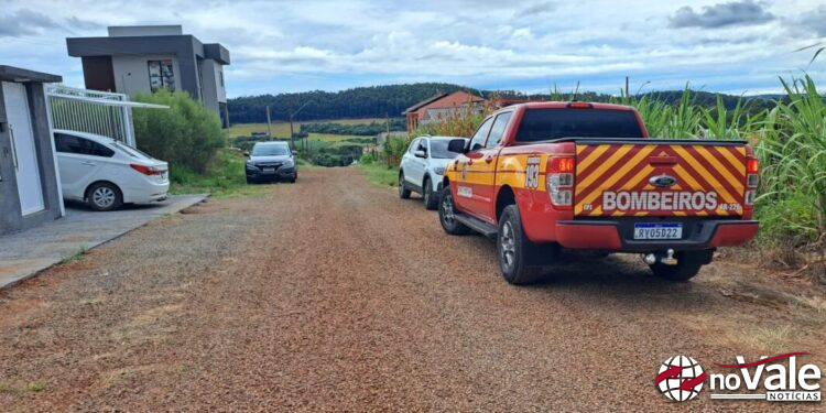 Filhote de cobra é capturado pelos bombeiros em residência de Capinzal