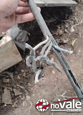 Furto de fios de cobre é registrado em propriedade rural em Capinzal