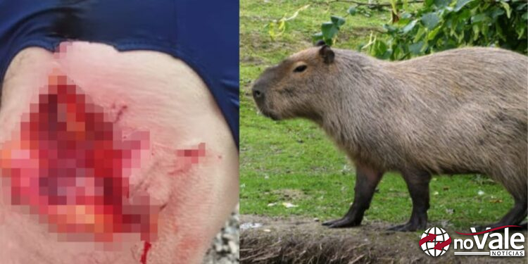 Patram investiga ataque a pescador em Maximiliano de Almeida; capivara é principal suspeita