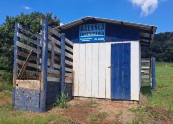 Balança comunitária de Lindenberg é consertada após apresentar problemas em Capinzal