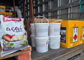 Alimentos e produtos químicos são transportados juntos em caminhão flagrado na BR-101