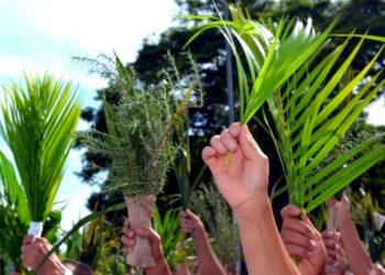 Celebração do Domingo de Ramos marca início da Semana Santa