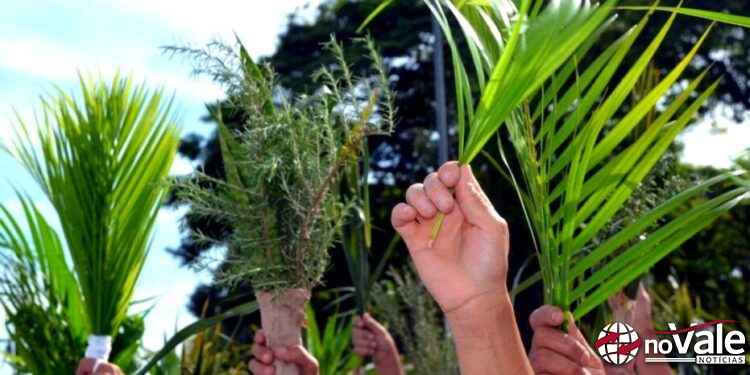 Celebração do Domingo de Ramos marca início da Semana Santa