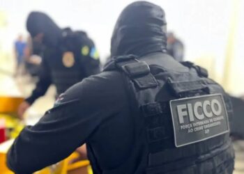 Força integrada contra o crime apreende mais de 1 tonelada de drogas