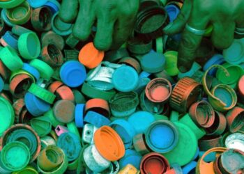 Dia Internacional do Resíduo Zero reforça importância de reduzir desperdícios e promover consumo sustentável