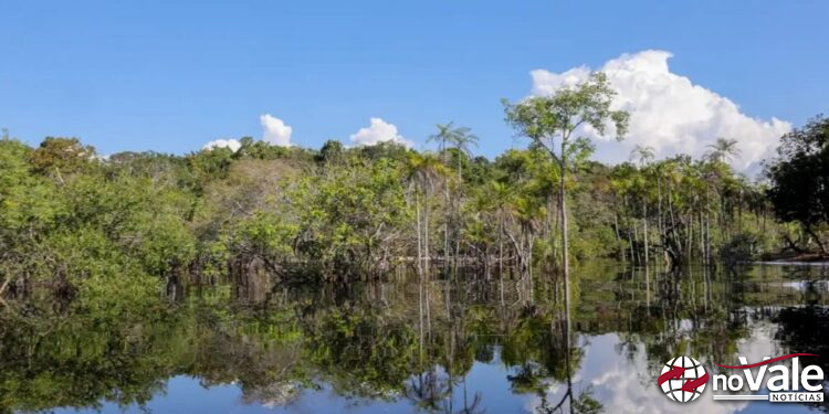 Governo levantou R$ 179 bi desde 2023 para transição ecológica