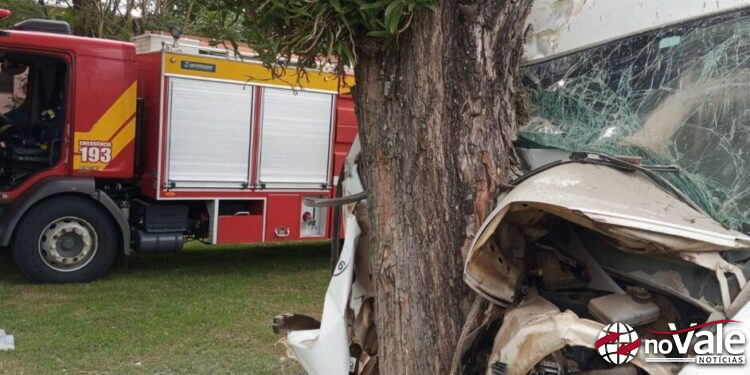 Jovem morre após caminhão sair da pista e colidir contra árvore em Nova Erechim