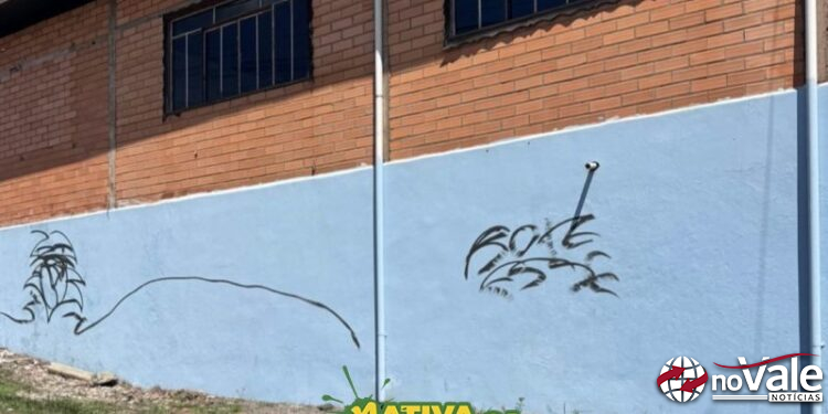 Vereador Kauê Oliveira apresenta projeto de Lei Anti Pichação em Capinzal na próxima segunda-feira