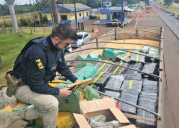 PRF intercepta carreta com 5 toneladas de drogas que seguia para Videira