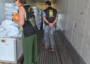 Operação fecha frigorífico por suspeita de carne adulterada