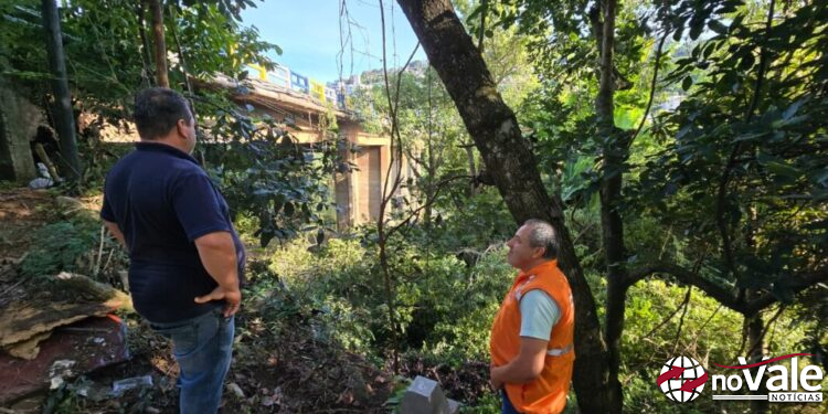 Remoção de árvores prepara ampliação da estação hidrológica no Rio do Peixe em Capinzal