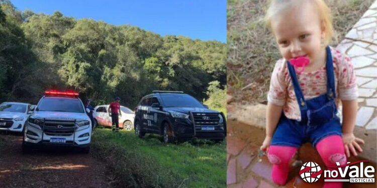 Pai acusado de matar filha de 1 ano e 9 meses vai a júri popular em Ponte Serrada nesta sexta-feira