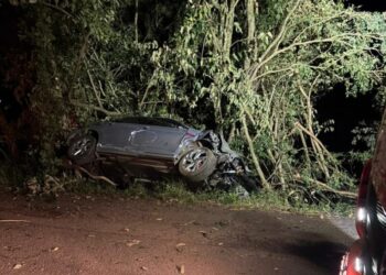 Motorista abandona carro após sair da pista e colidir contra árvores em Salto Veloso