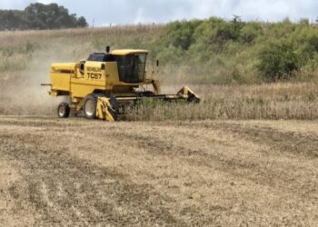Produtor rural de Capinzal fala sobre alta dos fertilizantes e impacto no campo