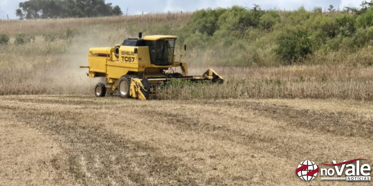 Produtor rural de Capinzal fala sobre alta dos fertilizantes e impacto no campo