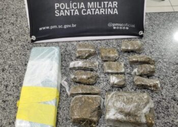 Jovem é preso com 1,5 kg de maconha durante ação da PM em Campos Novos