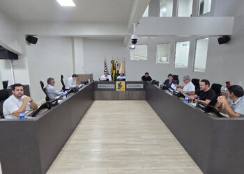 Atividades econômicas sem atendimento presencial passam a ter regras específicas em Capinzal